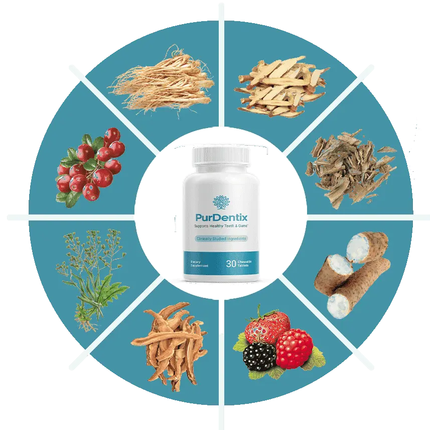 purdentix ingredients